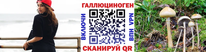 площадка какой сайт  где найти наркотики  Дербент  Псилоцибиновые грибы ЛСД 
